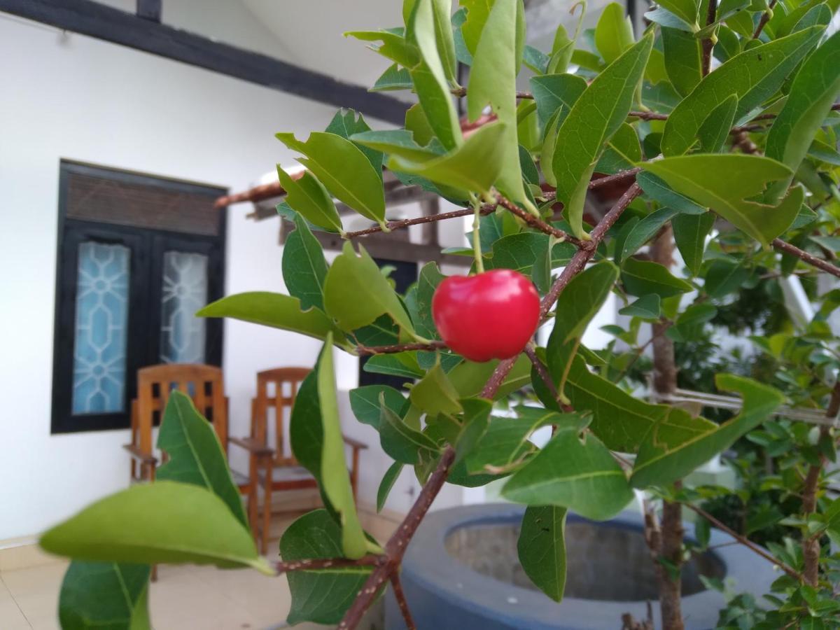 Arugam Bay Holiday Bagian luar foto