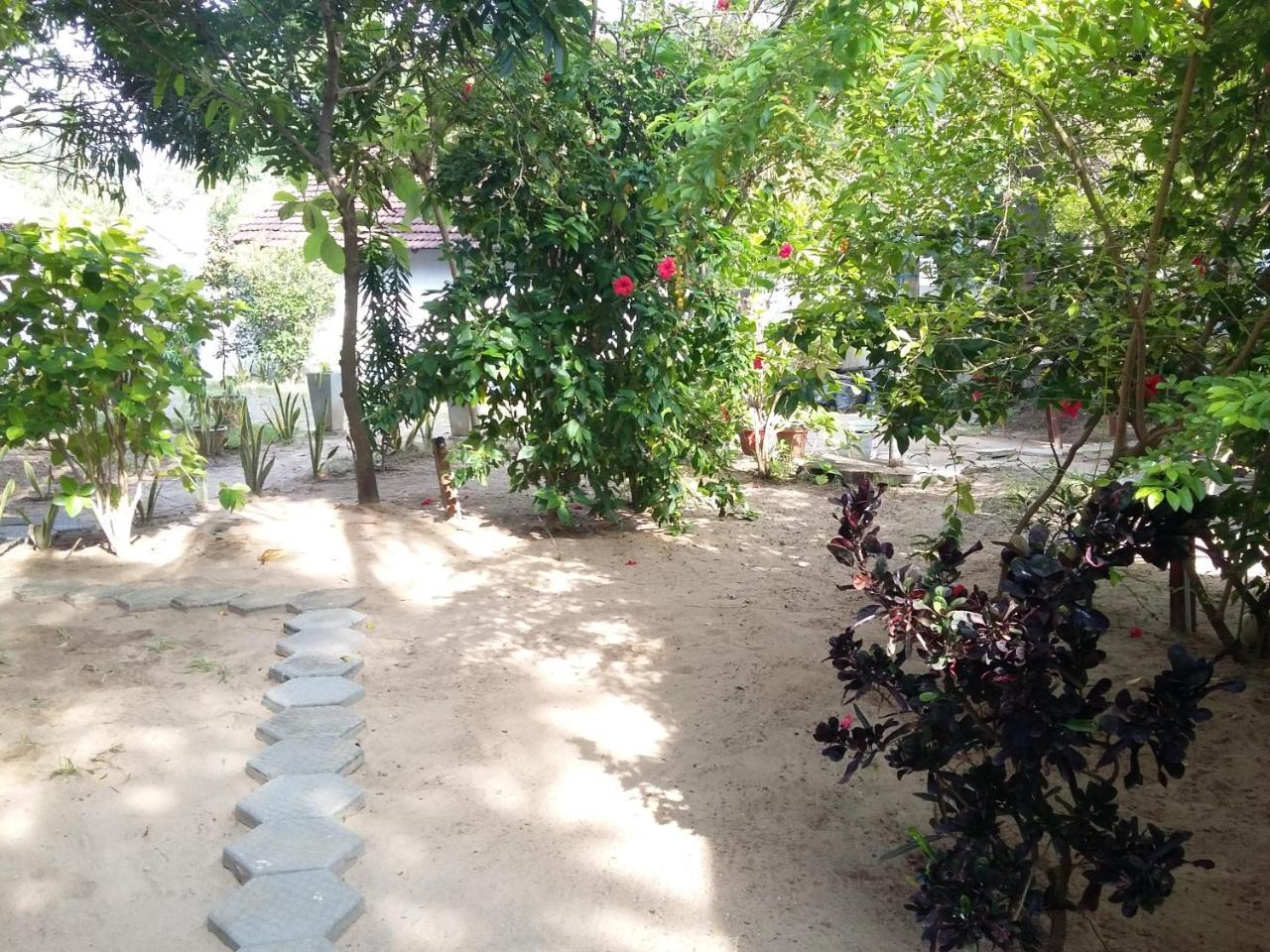 Arugam Bay Holiday Bagian luar foto
